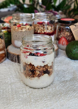 Northern Gingerbread - Snack Size